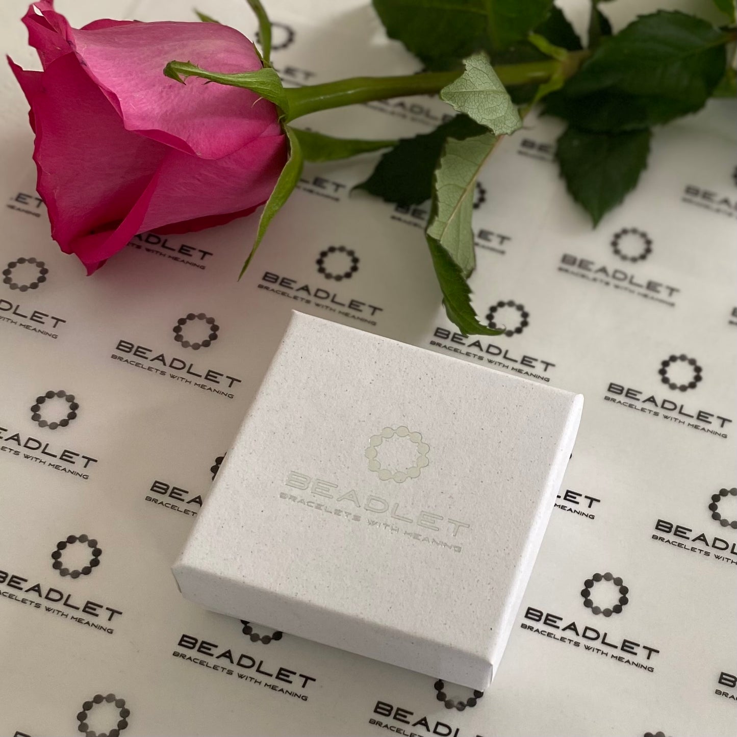 Wrexham -The Red Dragons