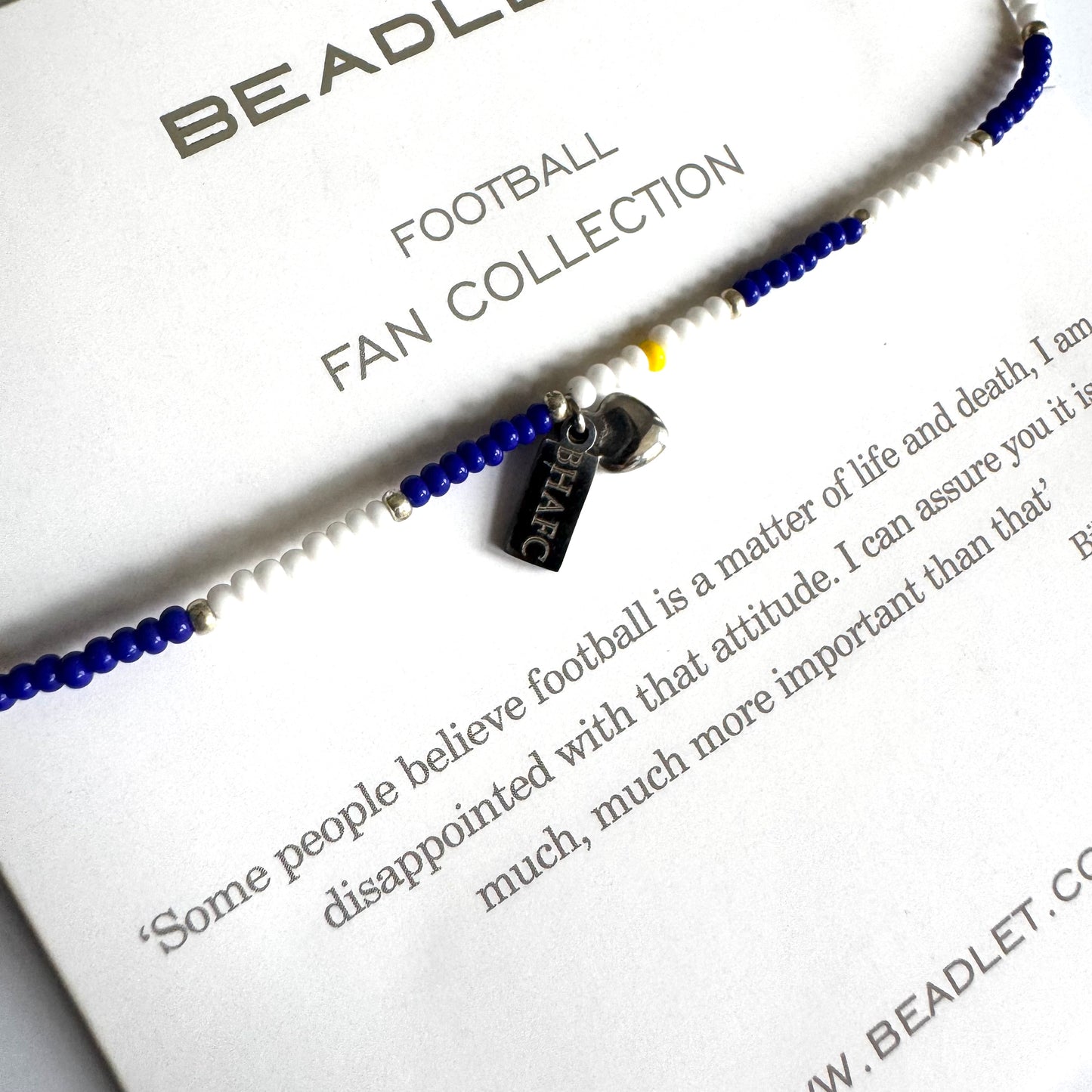 Brighton & Hove Albion - THE SEAGULLS