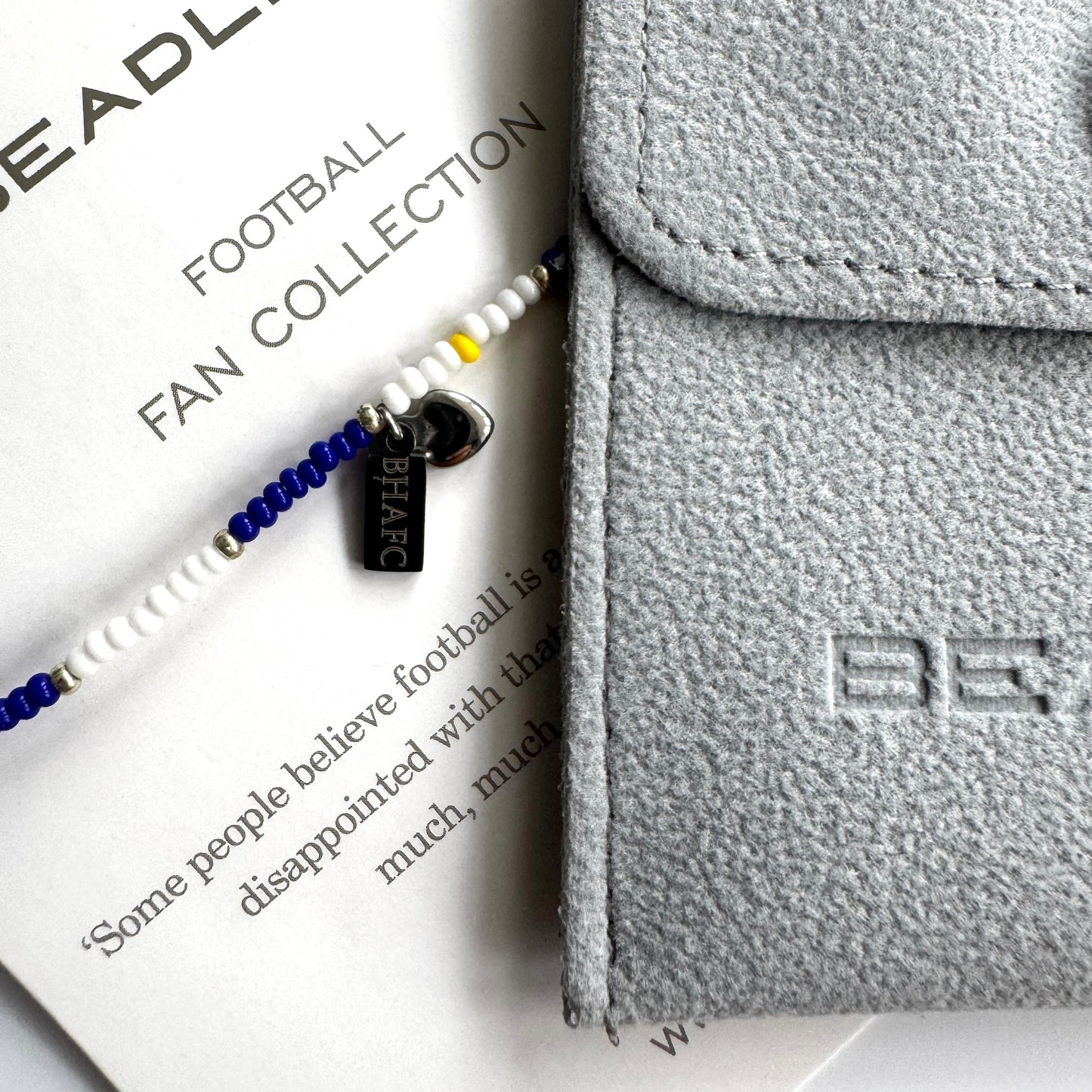 Brighton & Hove Albion - THE SEAGULLS