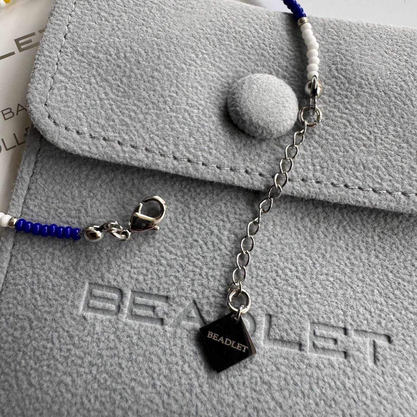 Brighton & Hove Albion - THE SEAGULLS