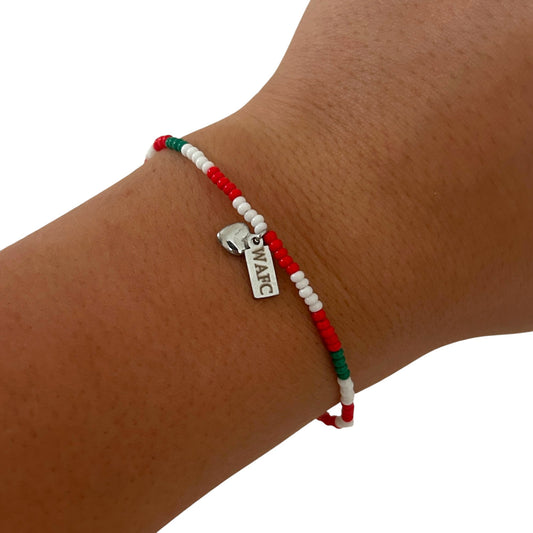 Wrexham -The Red Dragons